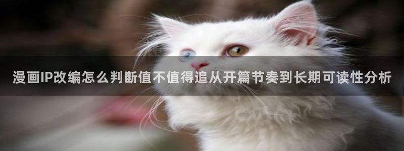 漫蛙漫画都市漫画:漫画IP改编怎么判断值不值得追从开篇节奏到长期可读性分析