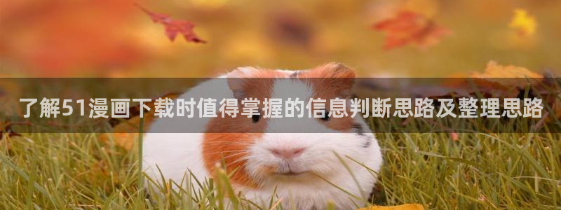 漫蛙漫画日漫推荐：了解51漫画下载时值得掌握的信息判断思路及整理思路